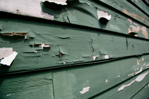 Best Yard Waste Removal  in Groton, SD